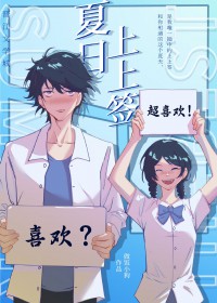 夏日上上签小说作者